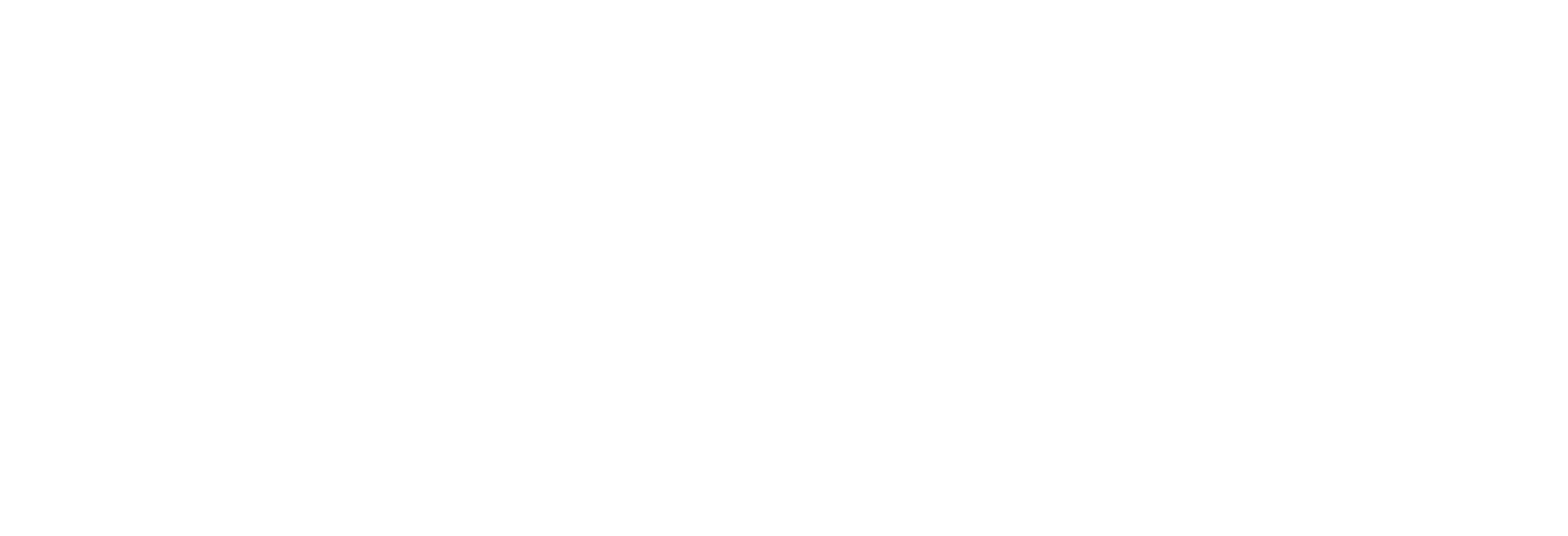 logo light